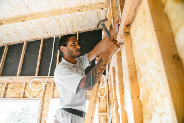 Best Local Insulation Services  in Ligonier, IN